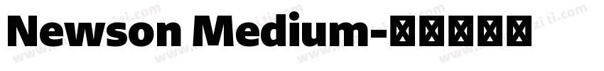 Newson Medium字体转换